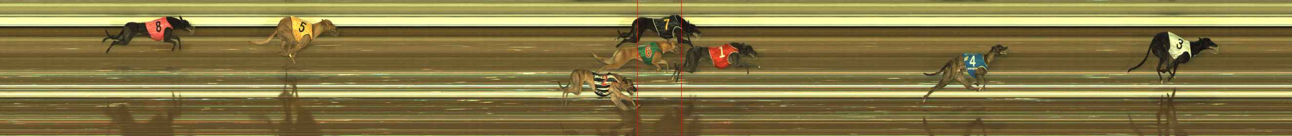 Race result finish photo